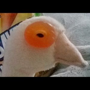 Meet your Posher, Ronald